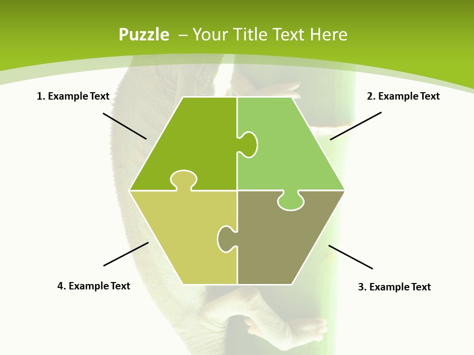 Botany Arboricole Events PowerPoint Template