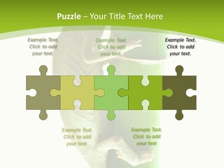 Botany Arboricole Events PowerPoint Template