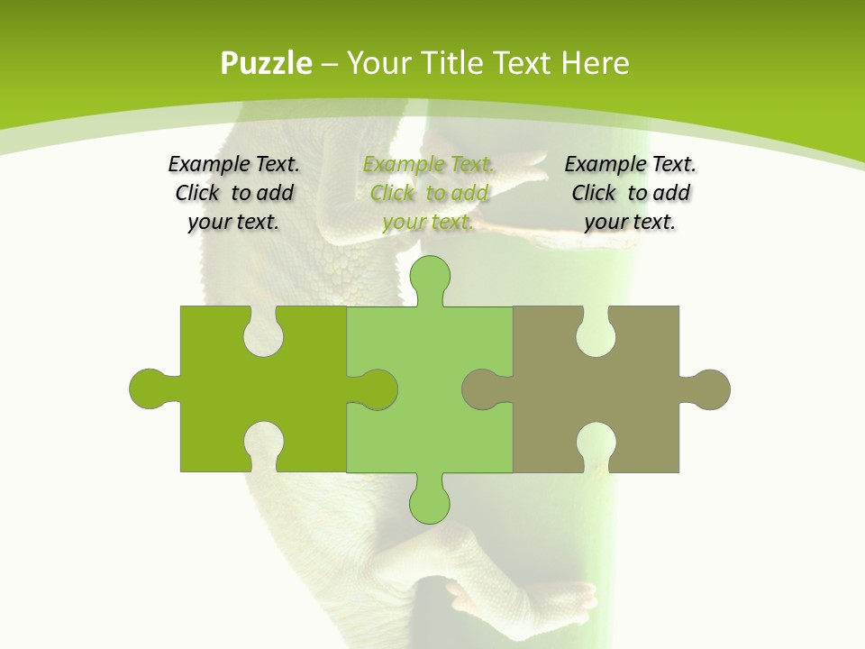 Botany Arboricole Events PowerPoint Template