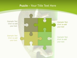 Botany Arboricole Events PowerPoint Template