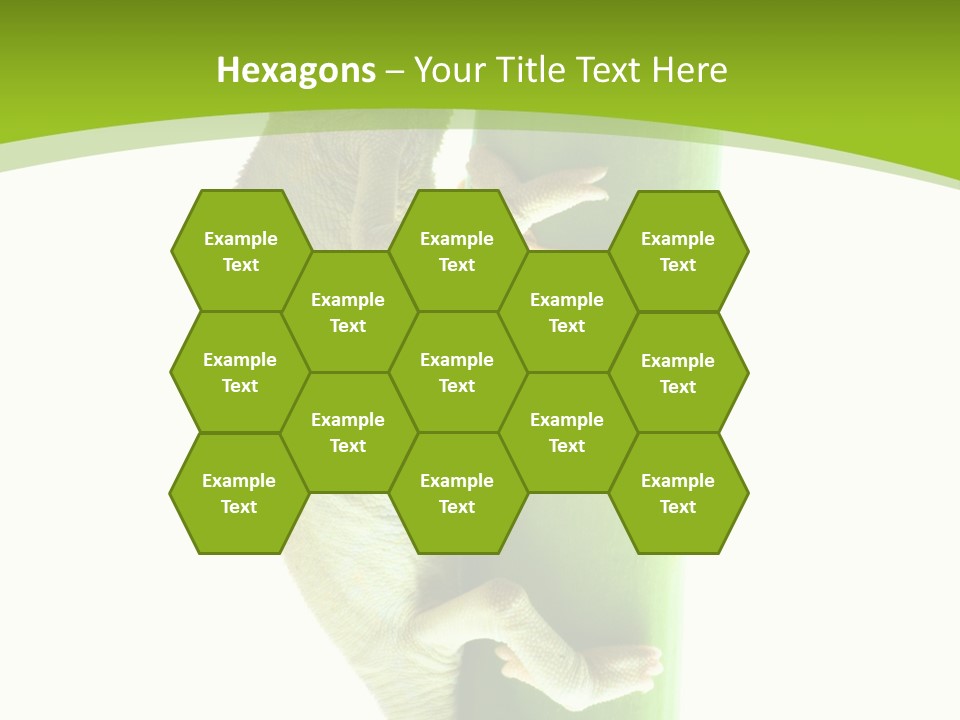 Botany Arboricole Events PowerPoint Template