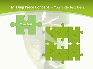 Botany Arboricole Events PowerPoint Template