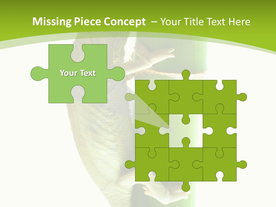 Botany Arboricole Events PowerPoint Template