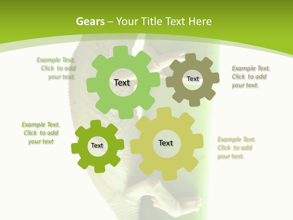 Botany Arboricole Events PowerPoint Template