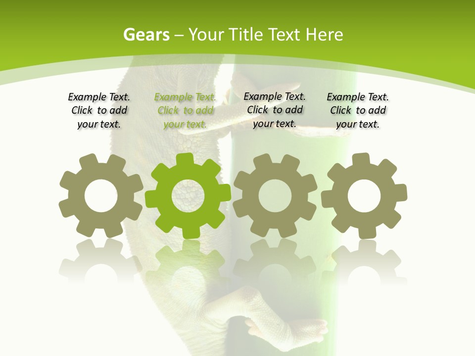 Botany Arboricole Events PowerPoint Template