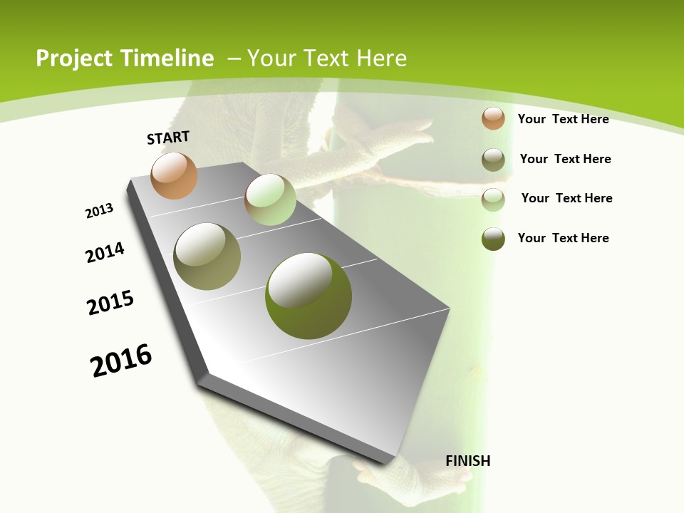 Botany Arboricole Events PowerPoint Template