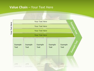 Botany Arboricole Events PowerPoint Template