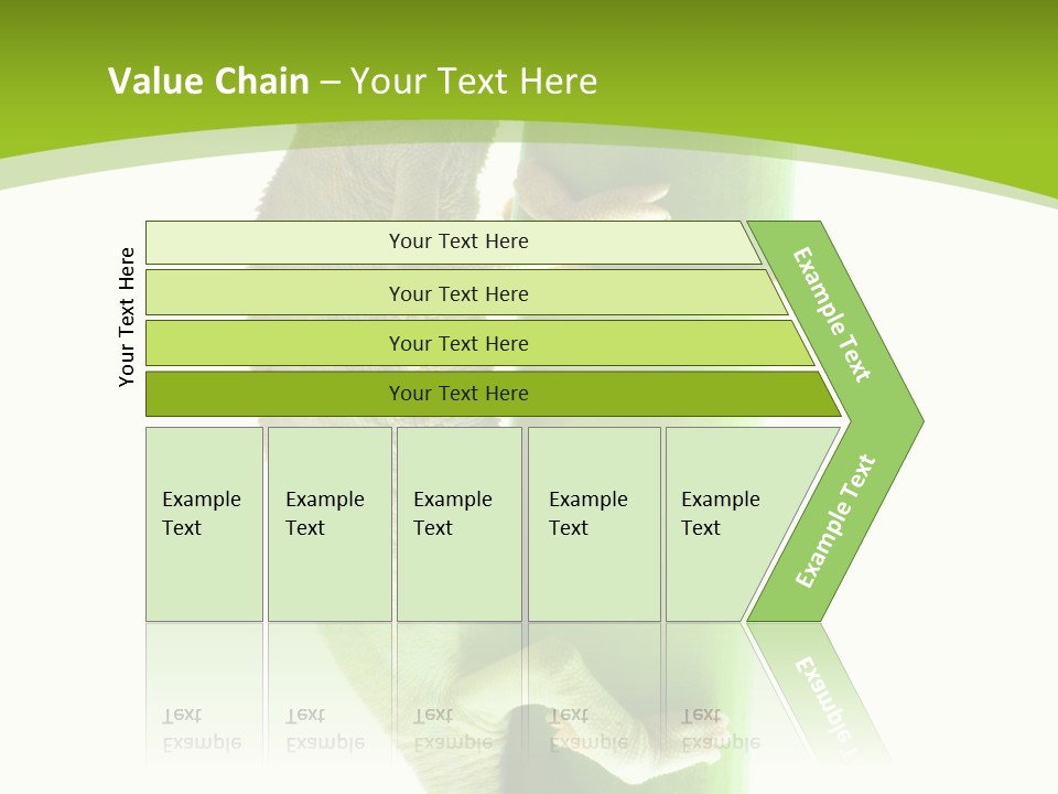 Botany Arboricole Events PowerPoint Template