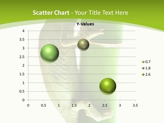 Botany Arboricole Events PowerPoint Template