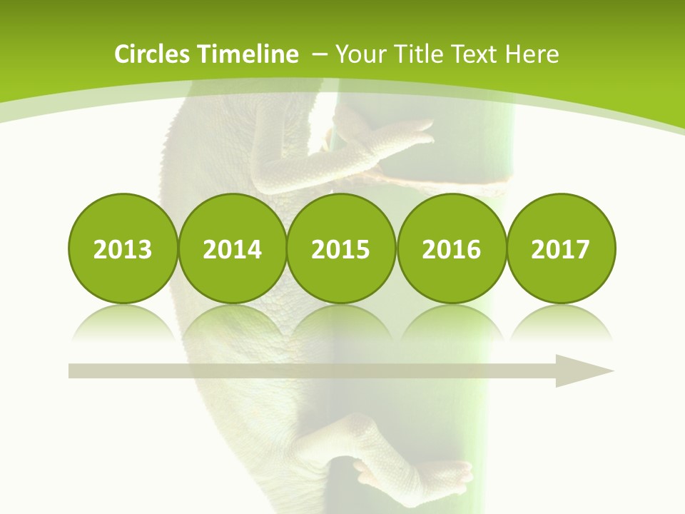 Botany Arboricole Events PowerPoint Template