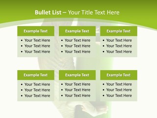 Botany Arboricole Events PowerPoint Template