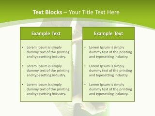 Botany Arboricole Events PowerPoint Template