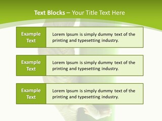 Botany Arboricole Events PowerPoint Template