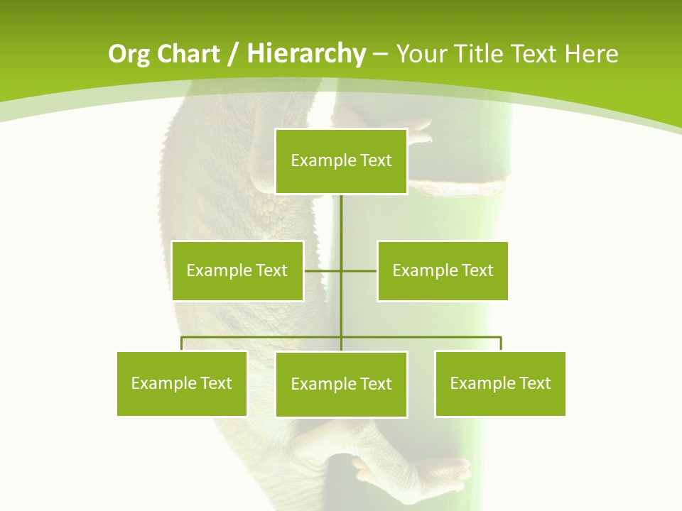 Botany Arboricole Events PowerPoint Template