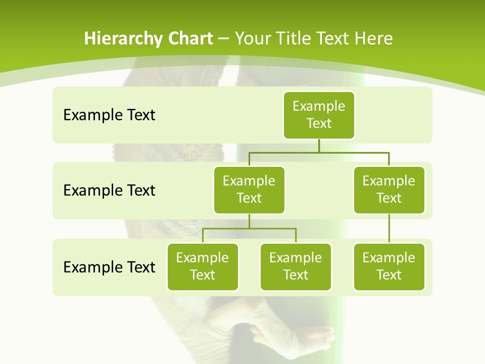 Botany Arboricole Events PowerPoint Template