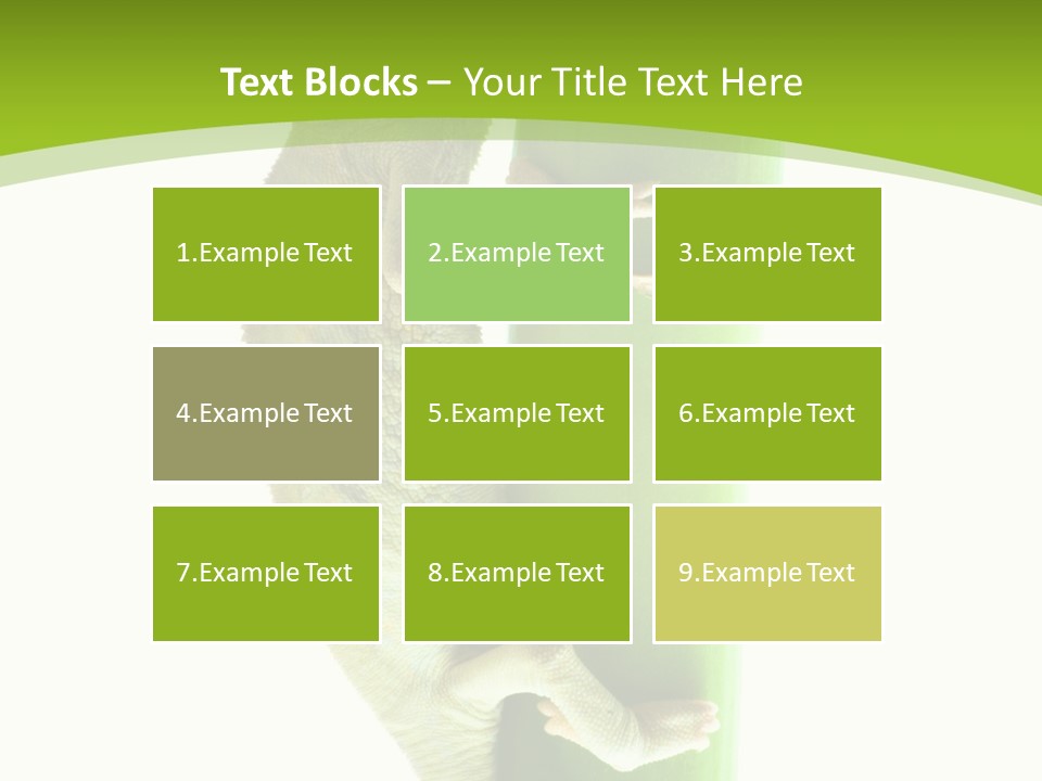 Botany Arboricole Events PowerPoint Template