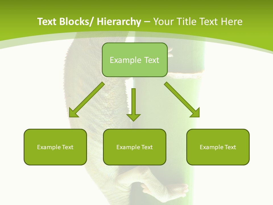 Botany Arboricole Events PowerPoint Template
