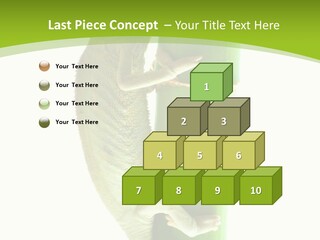 Botany Arboricole Events PowerPoint Template