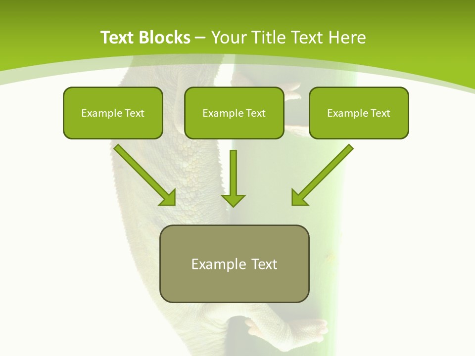 Botany Arboricole Events PowerPoint Template