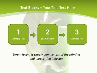 Botany Arboricole Events PowerPoint Template