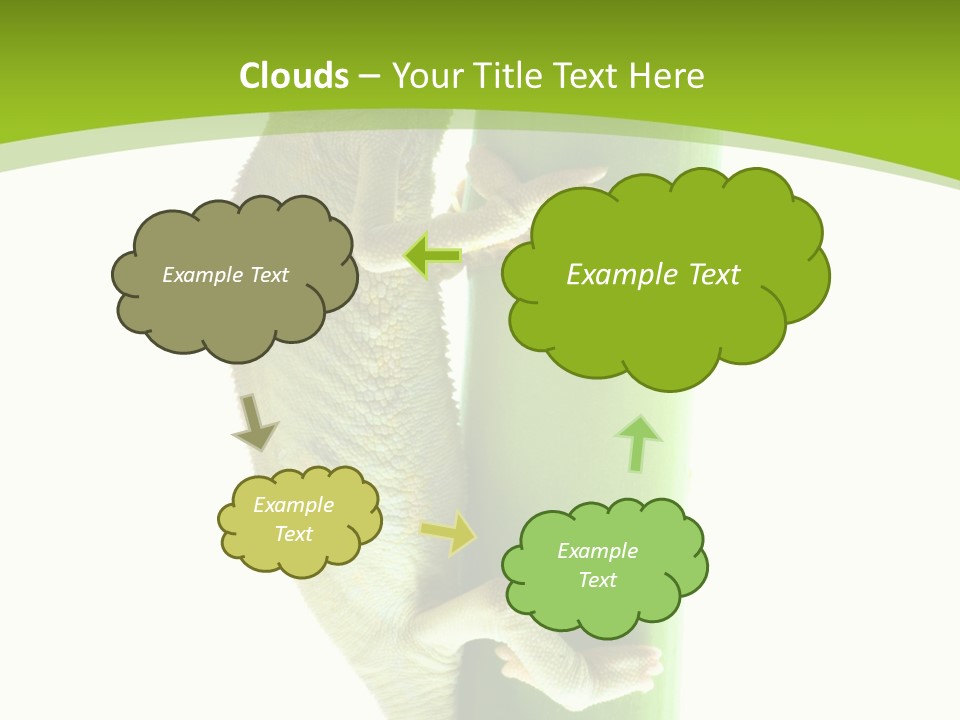 Botany Arboricole Events PowerPoint Template