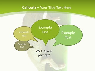 Botany Arboricole Events PowerPoint Template