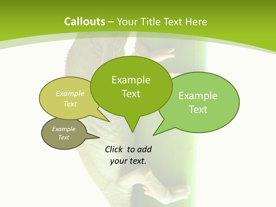 Botany Arboricole Events PowerPoint Template