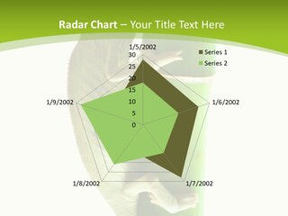 Botany Arboricole Events PowerPoint Template