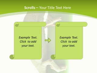 Botany Arboricole Events PowerPoint Template