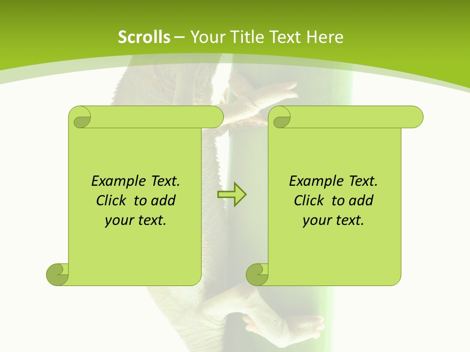 Botany Arboricole Events PowerPoint Template