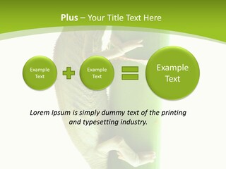 Botany Arboricole Events PowerPoint Template