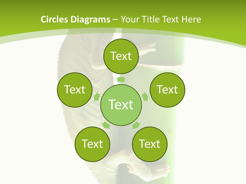 Botany Arboricole Events PowerPoint Template