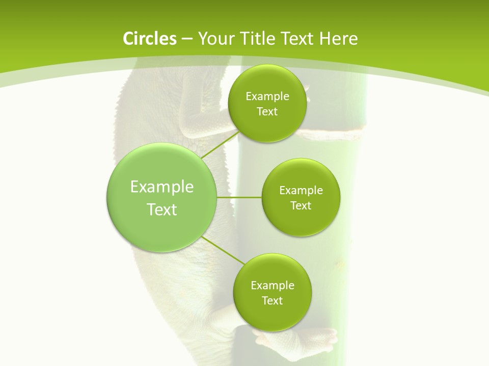 Botany Arboricole Events PowerPoint Template