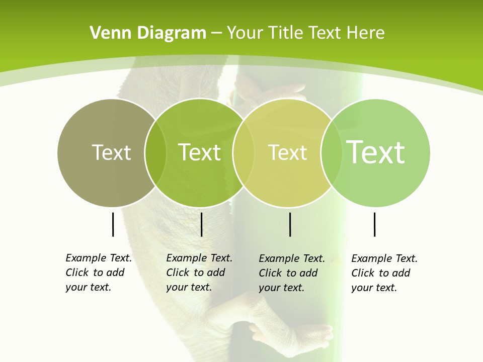 Botany Arboricole Events PowerPoint Template