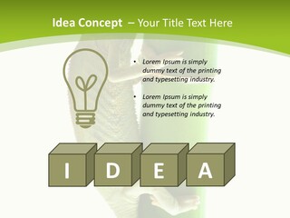 Botany Arboricole Events PowerPoint Template