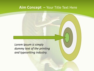 Botany Arboricole Events PowerPoint Template