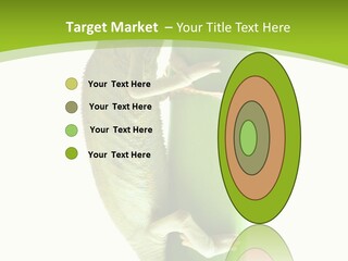 Botany Arboricole Events PowerPoint Template