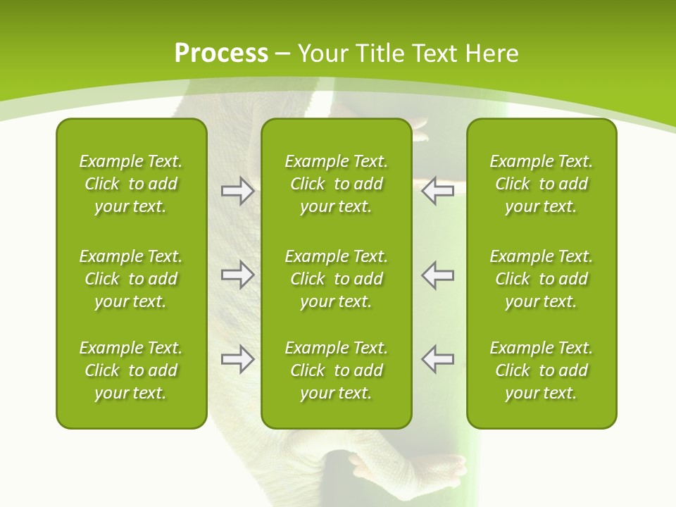 Botany Arboricole Events PowerPoint Template
