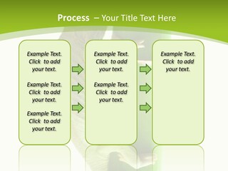 Botany Arboricole Events PowerPoint Template