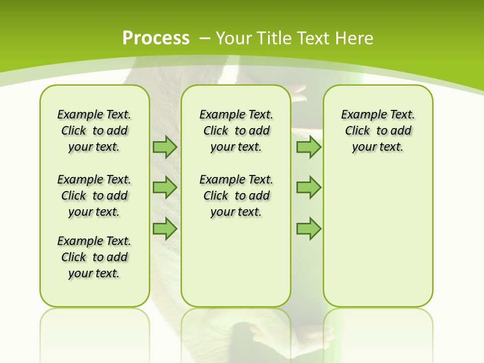 Botany Arboricole Events PowerPoint Template