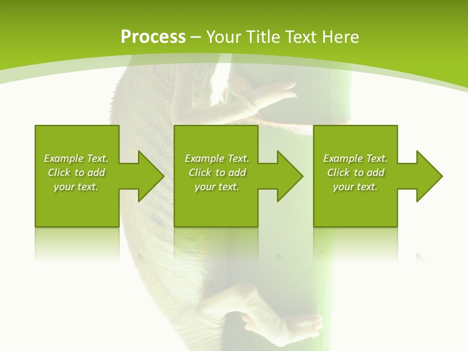 Botany Arboricole Events PowerPoint Template