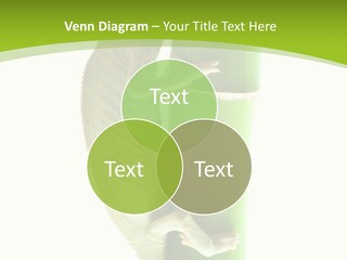 Botany Arboricole Events PowerPoint Template