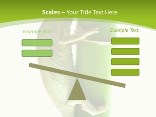 Botany Arboricole Events PowerPoint Template