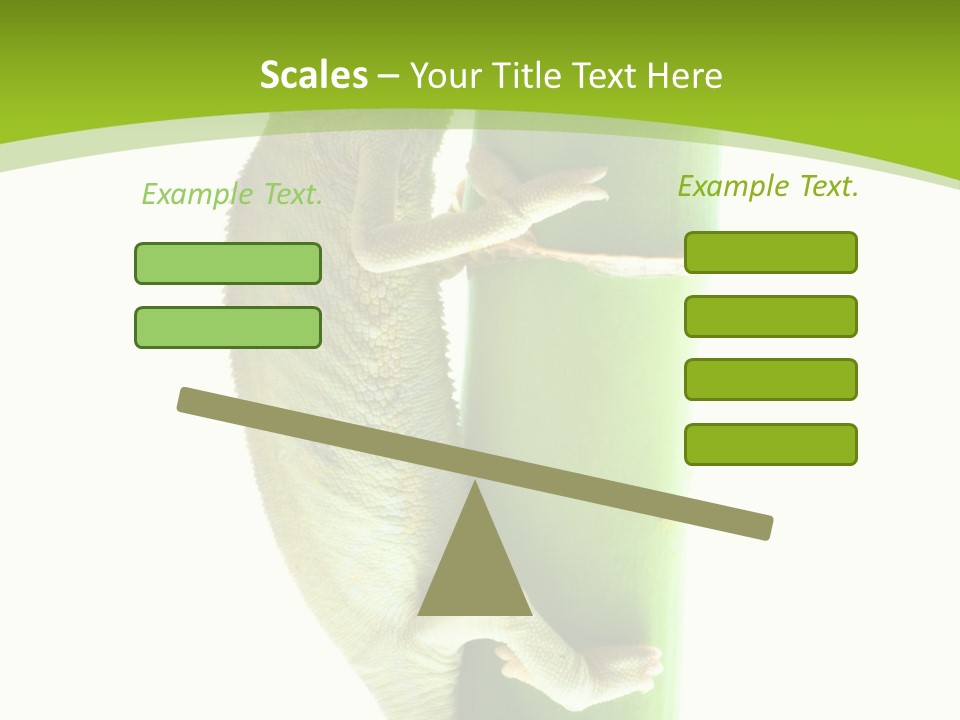 Botany Arboricole Events PowerPoint Template