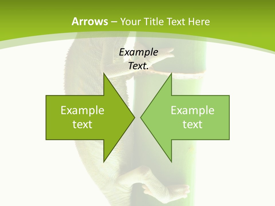 Botany Arboricole Events PowerPoint Template