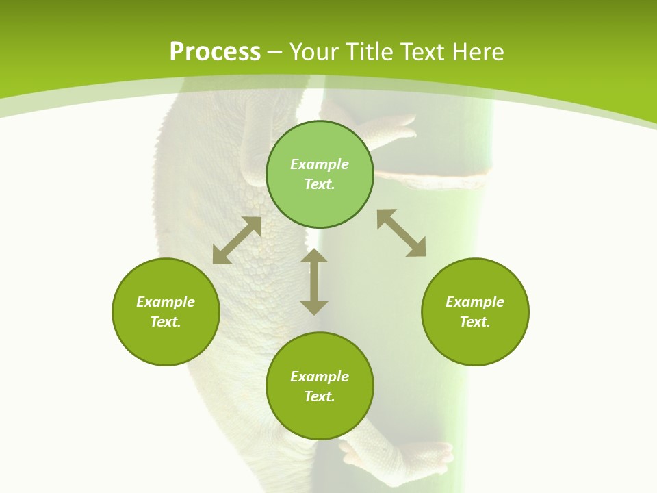 Botany Arboricole Events PowerPoint Template