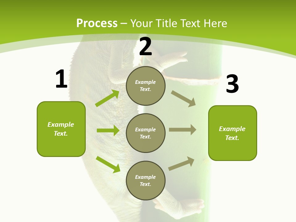 Botany Arboricole Events PowerPoint Template