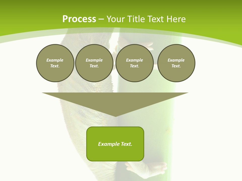 Botany Arboricole Events PowerPoint Template