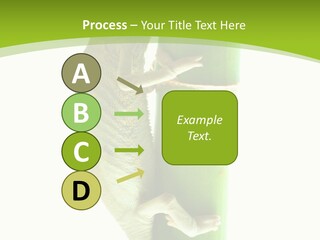 Botany Arboricole Events PowerPoint Template