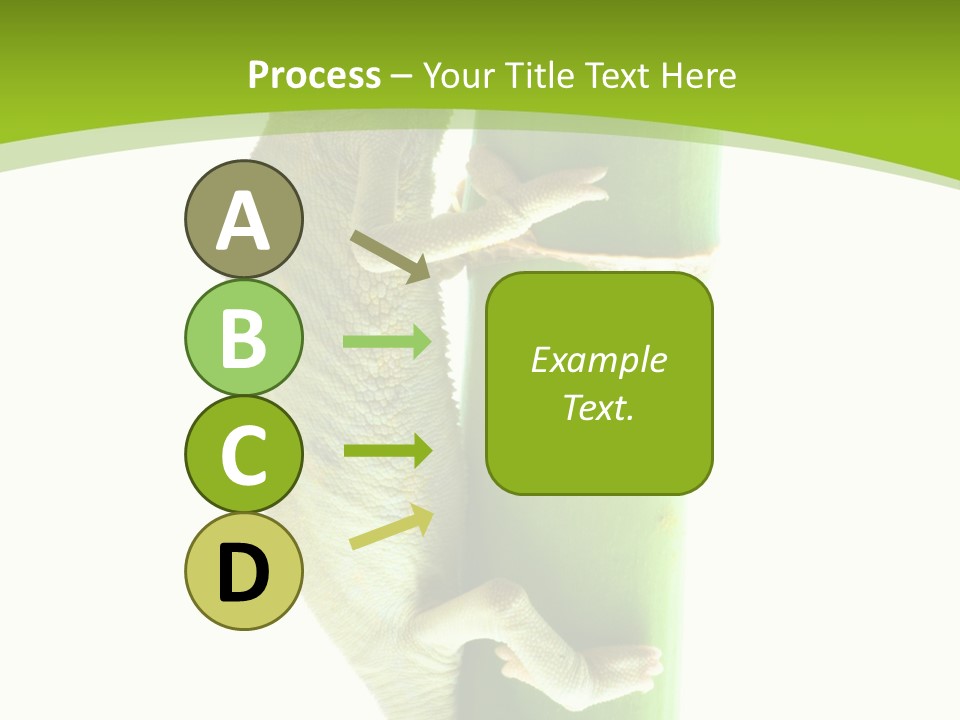 Botany Arboricole Events PowerPoint Template
